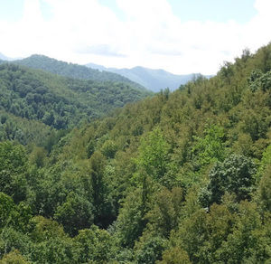 Meet your Posher, Chasity